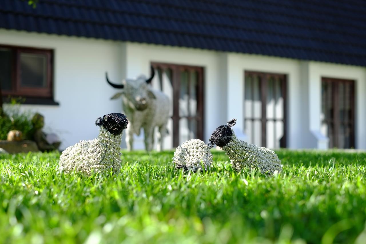 Kilmorna Manor Guest House Shoemanskloof Εξωτερικό φωτογραφία